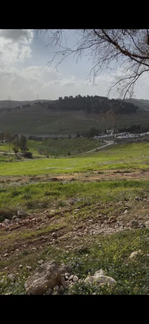ارض في ضاحية الروابي للبيع