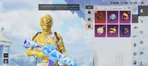 Pubg Accounts and Characters for Sale in Muscat