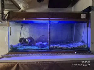 حوض سمك فلتر بايولجي علوي حجم كبير متر وثلاثين سانتي 1.30cm