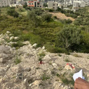 Residential Land for Sale in Nablus Beit Iba