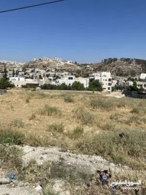 Mixed Use Land for Sale in Amman Naour