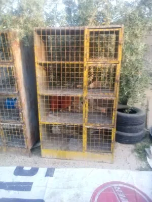 قنون حمام للبيع