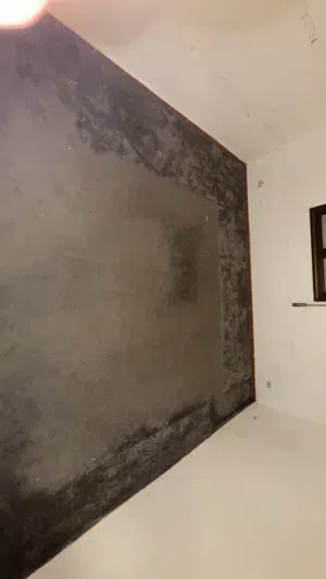 3 سجادات للبيع مع بعضهم 100 دينار