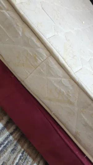 تخت مفرد ونص