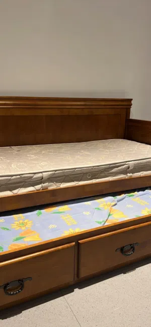 Daybed that can sleep 2 with mattresses