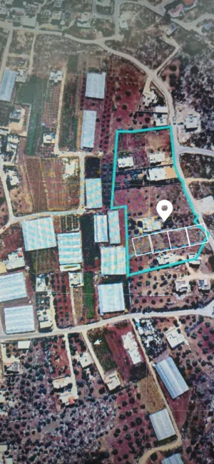 ارض مميزة في دير ابو ضعيف جنين