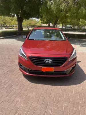 Used Hyundai Sonata in Muscat