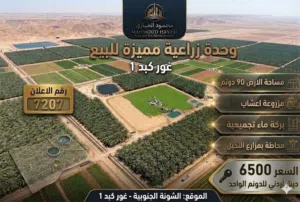 إعلان رقم 7207: فرصة زراعية استثنائية للبيع في قلب الغور / وحدة زراعية
