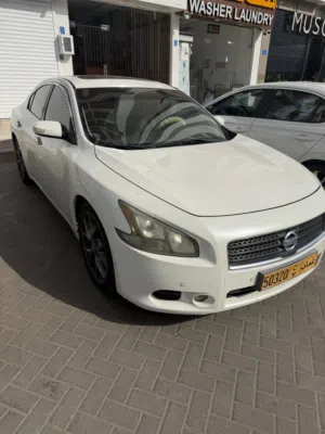 Used Nissan Maxima in Muscat