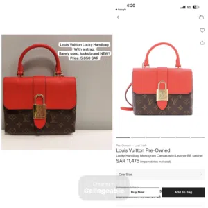 Louis Vuitton Pre-owned Locky Handbag Monogram Canvas with Leather BB Satchel