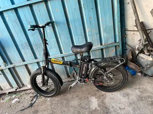 1200 عجل عريض