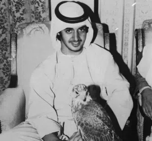 S3eed 