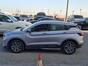 Chery . Other . 20224