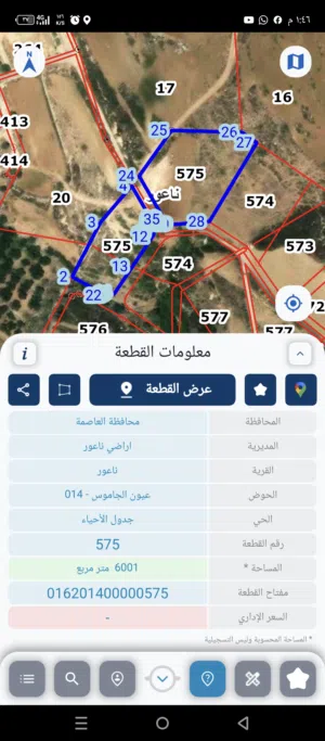Farm Land for Sale in Amman Naour