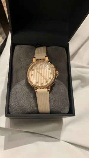 ساعة شيروتي