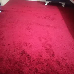 سجاده لون خمري