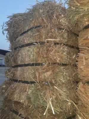 for sale Oaten hay  special for horse