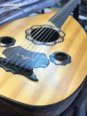 عود أحمد عبد الحليم