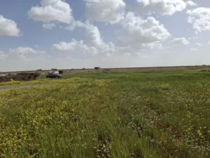 Residential Land for Sale in Amman Al Tuneib