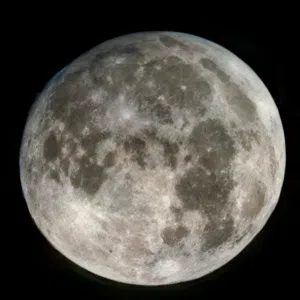 ذياب البلوشي 