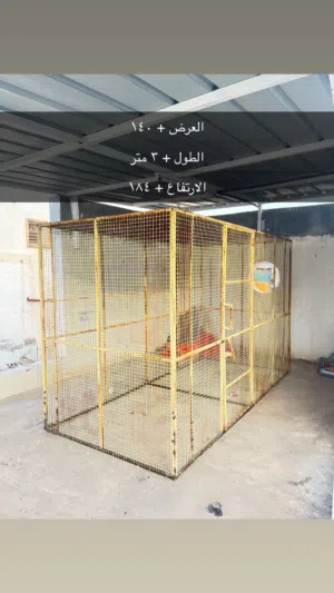 قفص طيوركبير الحجم
