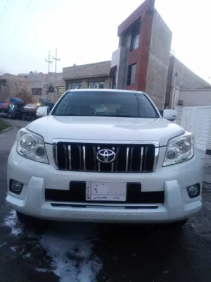 برادو 2010
