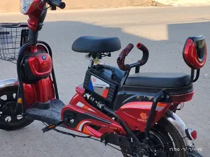 Electric Bicycles4