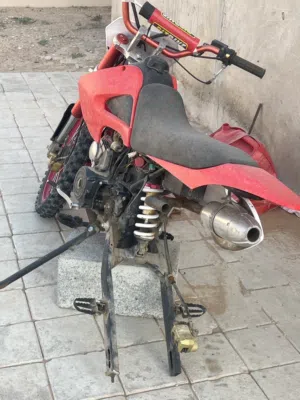 صامل يشتريها يكلمني