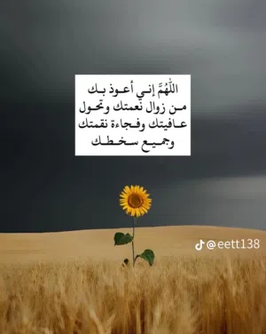 السلام عليكم اخوني ابحث عن تكسي تكلمت اقسط شرط يكون بدون تغير شكات نسوي وراقه من كاتب العادل يكون