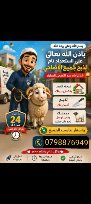 يوجد خروف روماني و بلدي