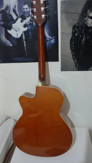 acoustic guitar (FOCUS)