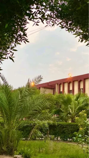 فيصل البصري 