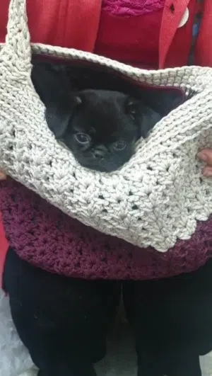 أجمل بنت بج مكس