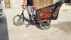 بسكليت يصلح لتسوق او التنزه