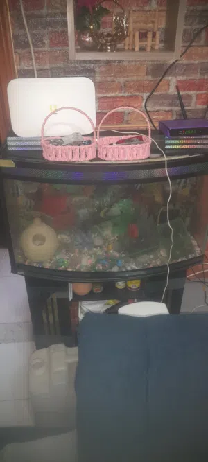 حوظ سمك 40 سم ومعو قاعده ومعو كامل أغراض فلتر وزينه وقاعده كلو شغال ميه بالميه