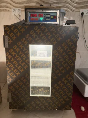 فقاسة بيض صناعة محليه