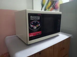 Sanyo Boomerang Styel Turntable