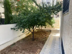 250 m2 3 Bedrooms Apartments for Rent in Amman Abdoun