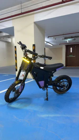 Customized Kugoo Wish 01