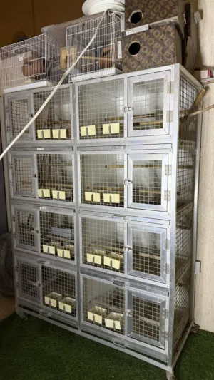 اقفاص للبيع قابل للتفاوض