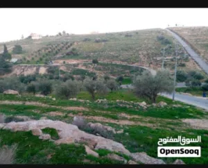 Residential Land for Sale in Zarqa Rajm Al Shawk