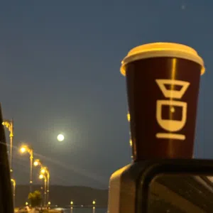 ستايلي ديواني 