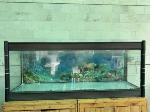 Aquarium for Sale - Mint condition