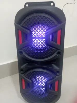 مكبر صوت GEEPAS