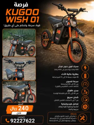 Kugoo Wish 01