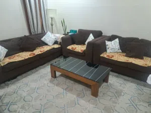 للبيع كنبات أمريكي من صفاة الغانم اسفنج البغلي