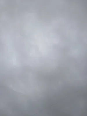 فريد محمد غنام 