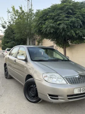 Used Toyota Corolla in Amman