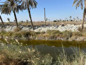بستان دونم ونصف (3750 متر مربع)