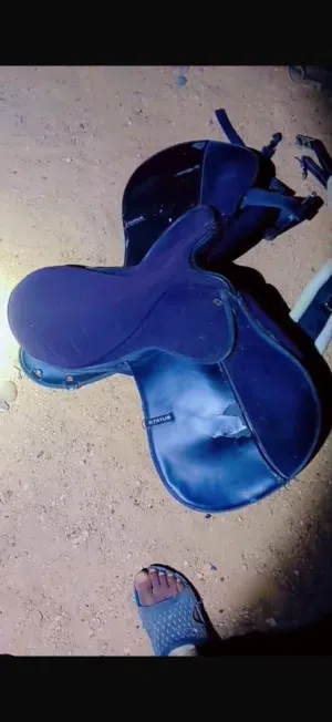 للبيع سرج بحاله جيده على السوم